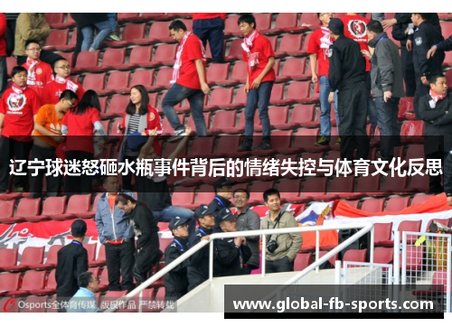 辽宁球迷怒砸水瓶事件背后的情绪失控与体育文化反思