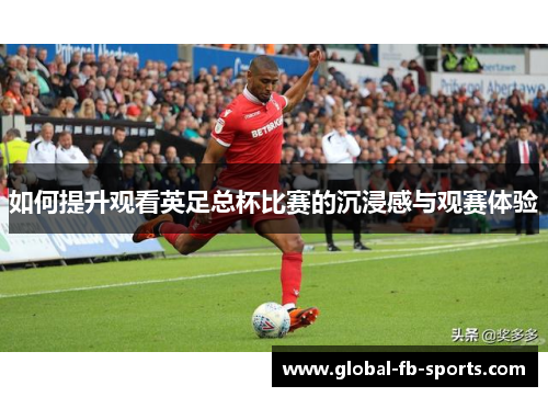 如何提升观看英足总杯比赛的沉浸感与观赛体验