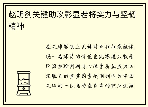 赵明剑关键助攻彰显老将实力与坚韧精神